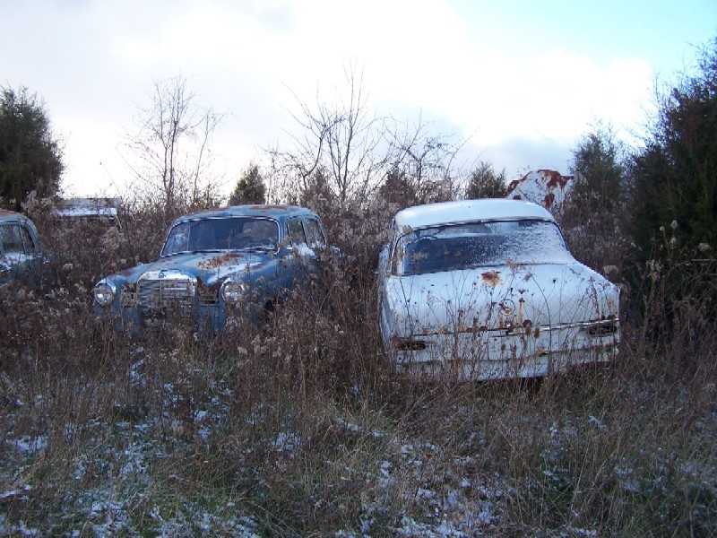 Illustration for article titled Over 1,000 Vintage Mercedes-Benzes Await The Cruel Jaws Of The Crusher In Kentucky